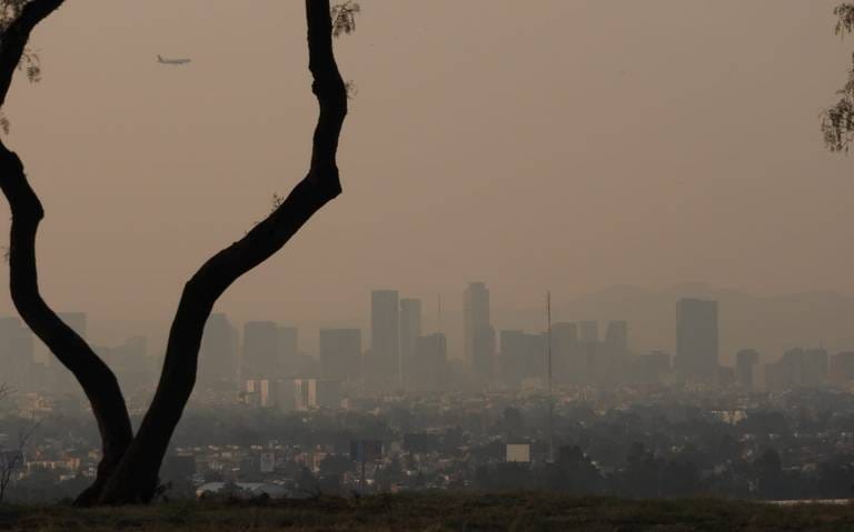 nxnoticias.com-se-mantiene-fase-i-de-contingencia-ambiental-por-ozono-para-este-domingo-25