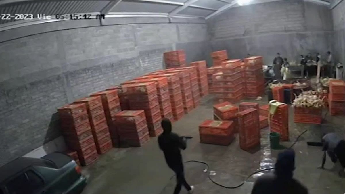 nxnoticias.com-en-operativo-liberan-a-4-polleros-secuestrados-en-diciembre-en-el-estado-de-mexico