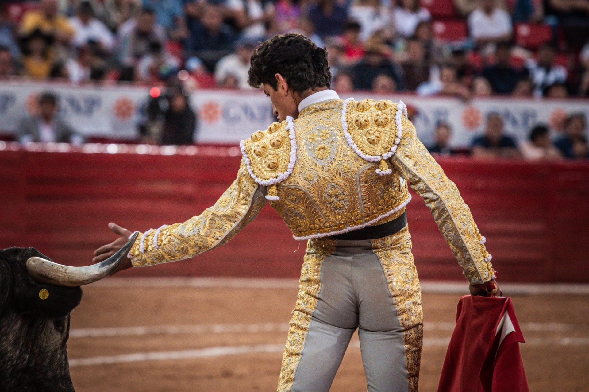 nxnoticias.com-suspenden-otra-vez-corridas-de-toros-en-cdmx