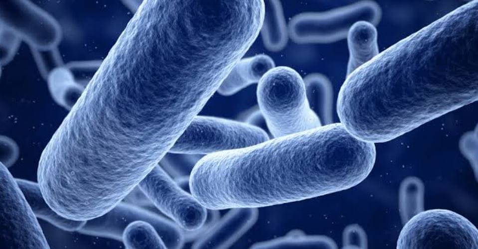 nxnoticias.com-salud-mantiene-acciones-contundentes-para-controlar-brote-de-klebsiella-oxytoca