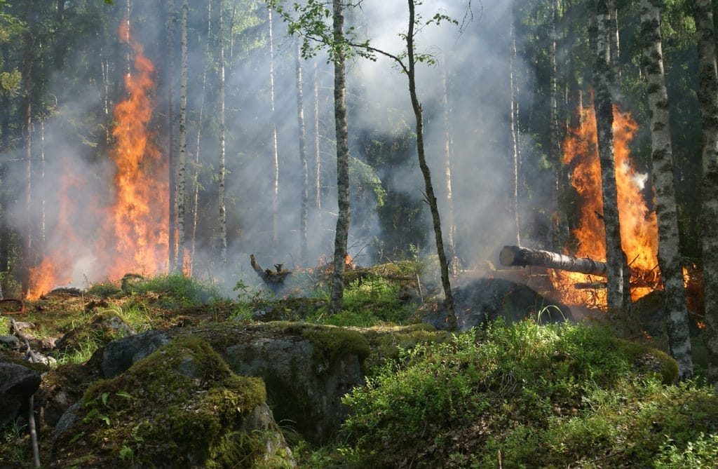 nxnoticias.com-alerta-por-alto-riesgo-de-incendios-forestales-en-nueve-estados-de-mexico
